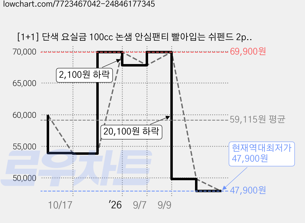 [1+1] 단색 요실금 100cc 논샘 안심팬티 빨아입는 쉬펜드 2p 세트 (대용량 흡수 방수 위생팬티 여성 여자 요실금팬티 효도 엄마선물) 가격 변동 차트, 현재가 47,900원, 역대최저가