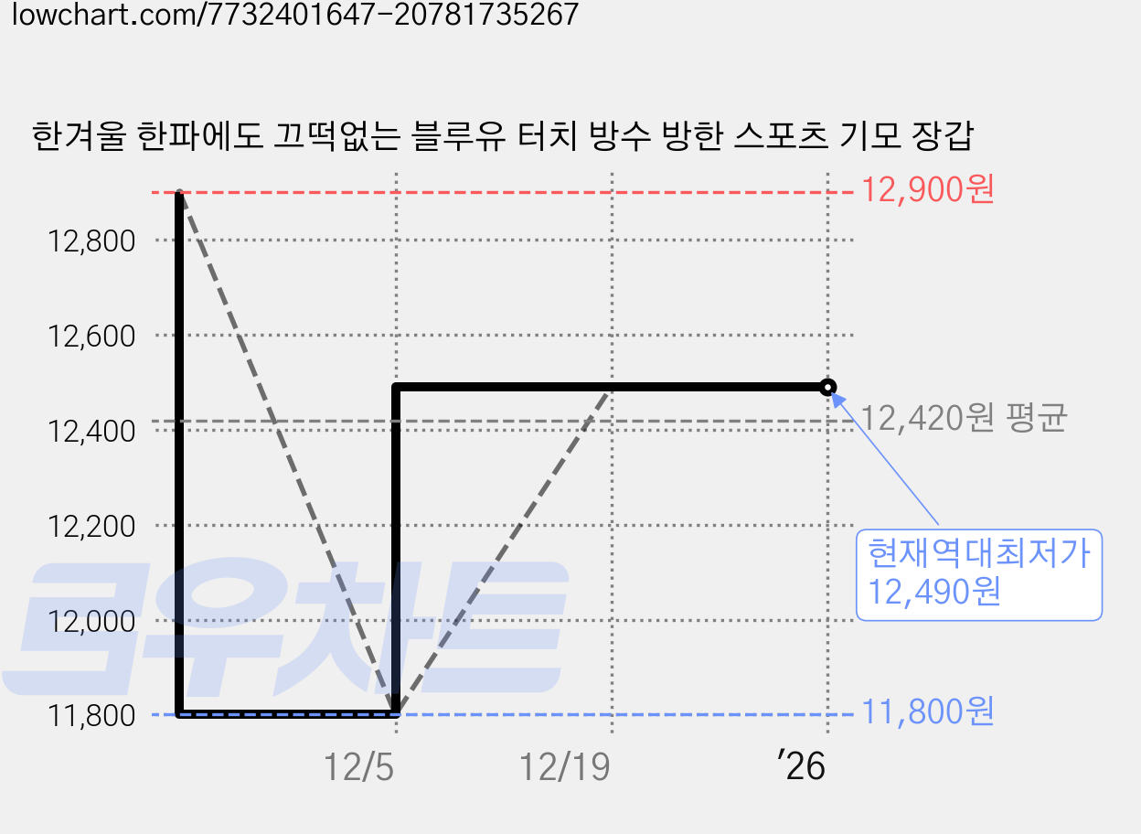 한겨울 한파에도 끄떡없는 블루유 터치 방수 방한 스포츠 기모 장갑 가격 변동 차트, 현재가 12,490원, 역대최저가