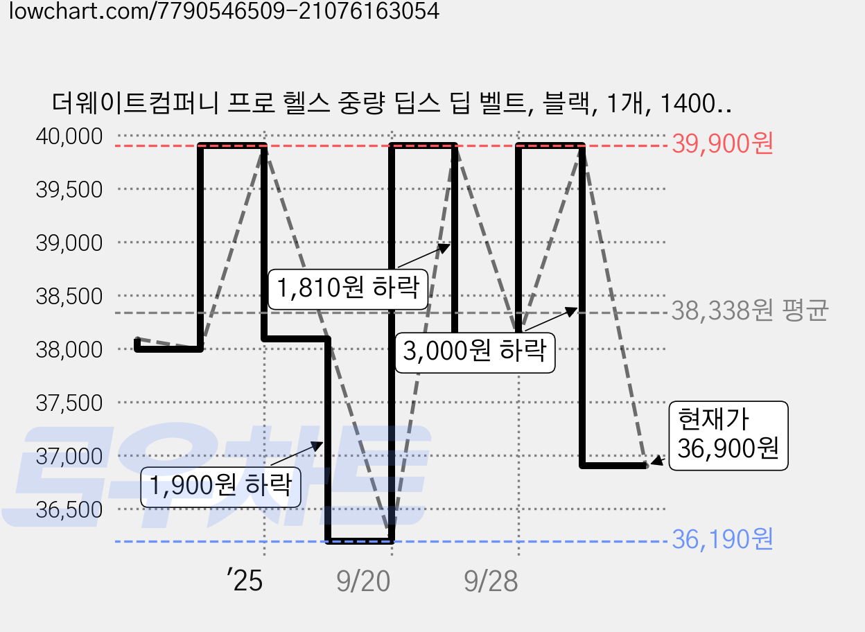 더웨이트컴퍼니 프로 헬스 중량 딥스 딥 벨트, 블랙, 1개, 1400g 가격 변동 차트, 현재가 36,900원, 관측 최저가 36,190원