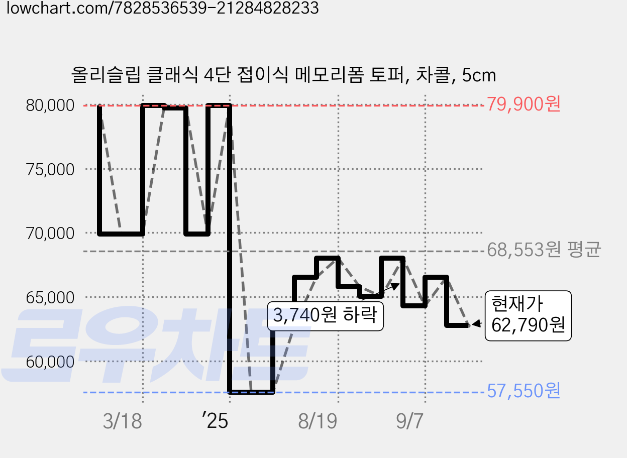 올리슬립 클래식 4단 접이식 메모리폼 토퍼, 차콜, 5cm 가격 변동 차트, 현재가 62,790원, 관측 최저가 56,810원