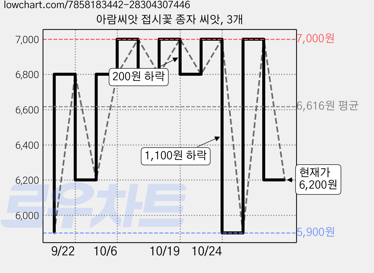 아람씨앗 접시꽃 종자 씨앗, 3개 가격 변동 차트, 현재가 6,200원, 관측 최저가 5,900원