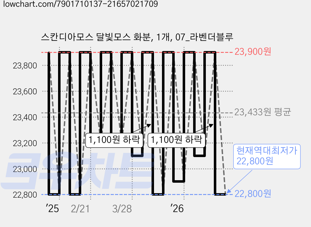 스칸디아모스 달빛모스 화분, 1개, 07_라벤더블루 가격 변동 차트, 현재가 22,800원, 역대최저가