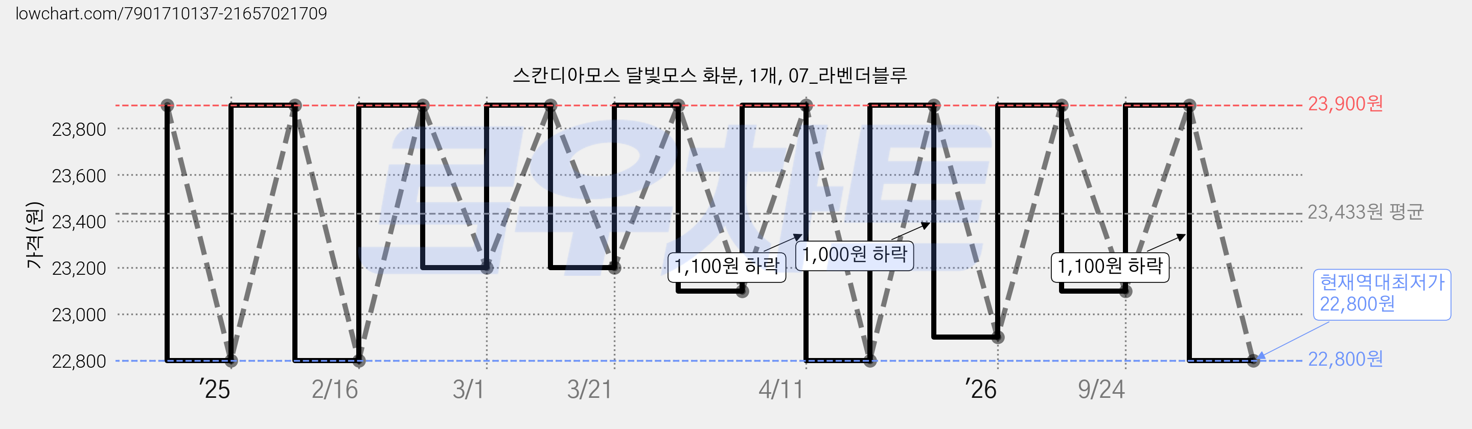 스칸디아모스 달빛모스 화분, 1개, 07_라벤더블루 가격 변동 차트, 현재가 22,800원, 역대최저가