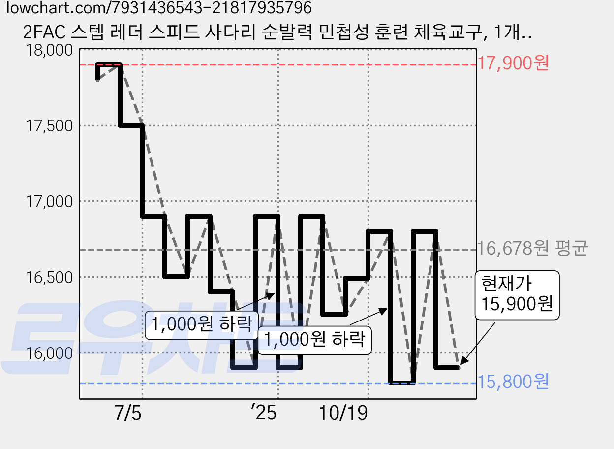 2FAC 스텝 레더 스피드 사다리 순발력 민첩성 훈련 체육교구, 1개, 오렌지 가격 변동 차트, 현재가 15,900원, 관측 최저가 15,800원