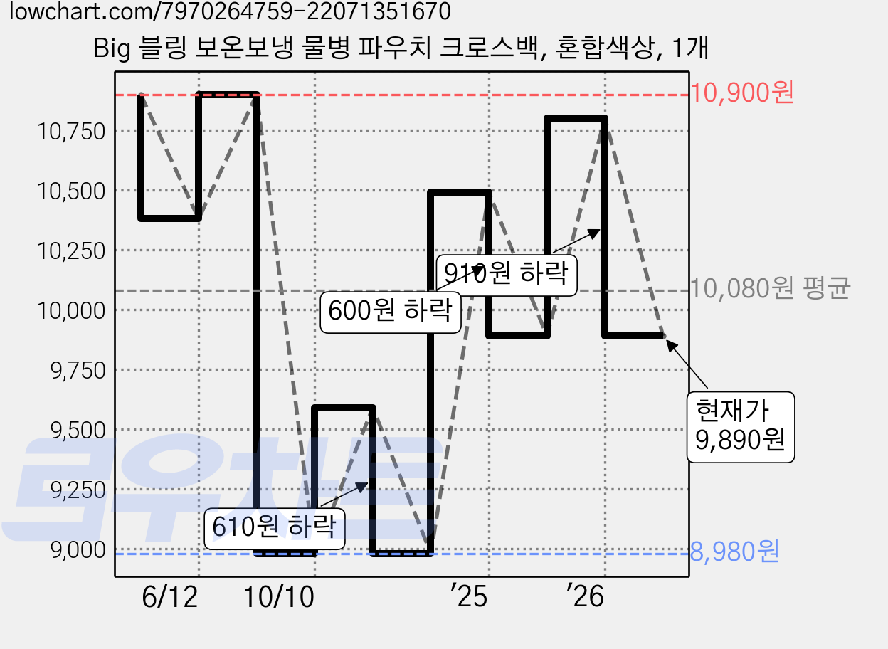 Big 블링 보온보냉 물병 파우치 크로스백, 혼합색상, 1개 가격 변동 차트, 현재가 9,890원, 관측 최저가 8,980원
