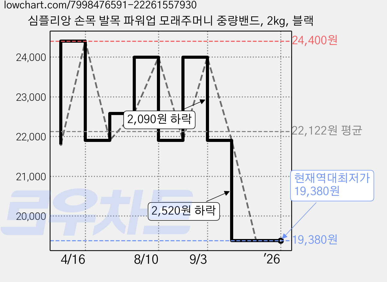 심플리앙 손목 발목 파워업 모래주머니 중량밴드, 2kg, 블랙 가격 변동 차트, 현재가 19,380원, 역대최저가