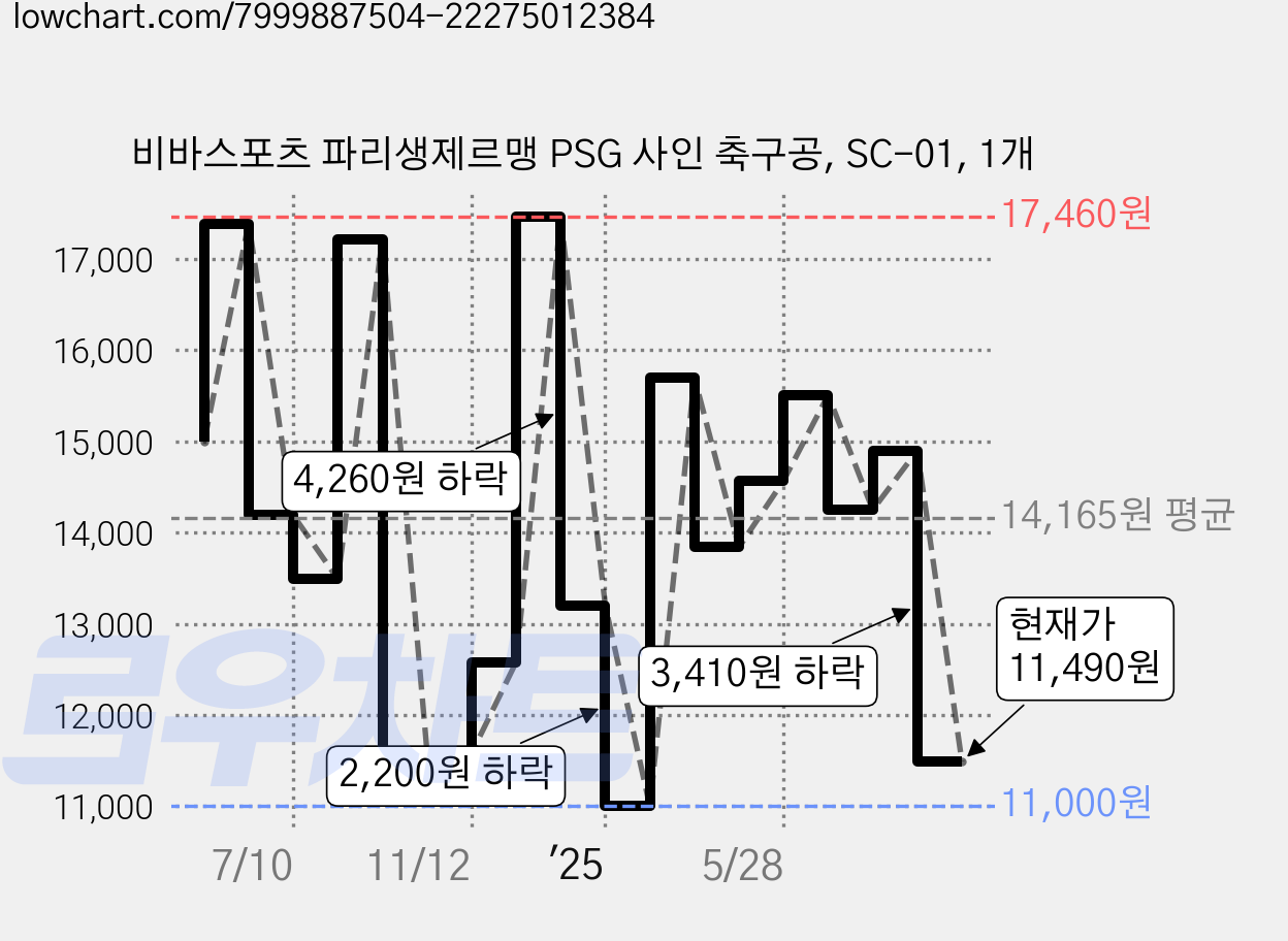 비바스포츠 파리생제르맹 PSG 사인 축구공, SC-01, 1개 가격 변동 차트, 현재가 11,490원, 관측 최저가 11,000원
