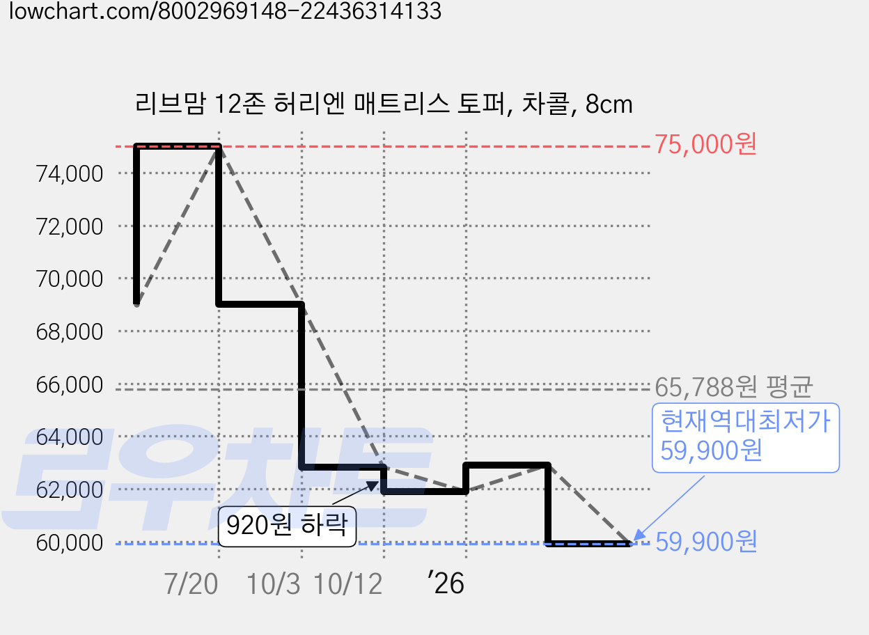 리브맘 12존 허리엔 매트리스 토퍼, 차콜, 8cm 가격 변동 차트, 현재가 59,900원, 역대최저가
