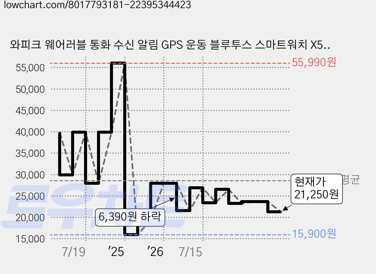 와피크 웨어러블 통화 수신 알림 GPS 운동 블루투스 스마트워치 X5S, 실버, 4.8cm, GPS + 블루투스 가격 변동 차트, 현재가 21,250원, 관측 최저가 15,900원