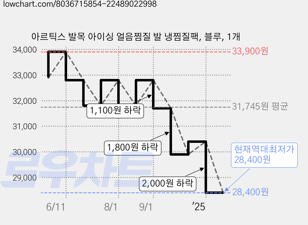 아르틱스 발목 아이싱 얼음찜질 발 냉찜질팩, 블루, 1개 가격 변동 차트, 현재가 28,400원, 역대최저가