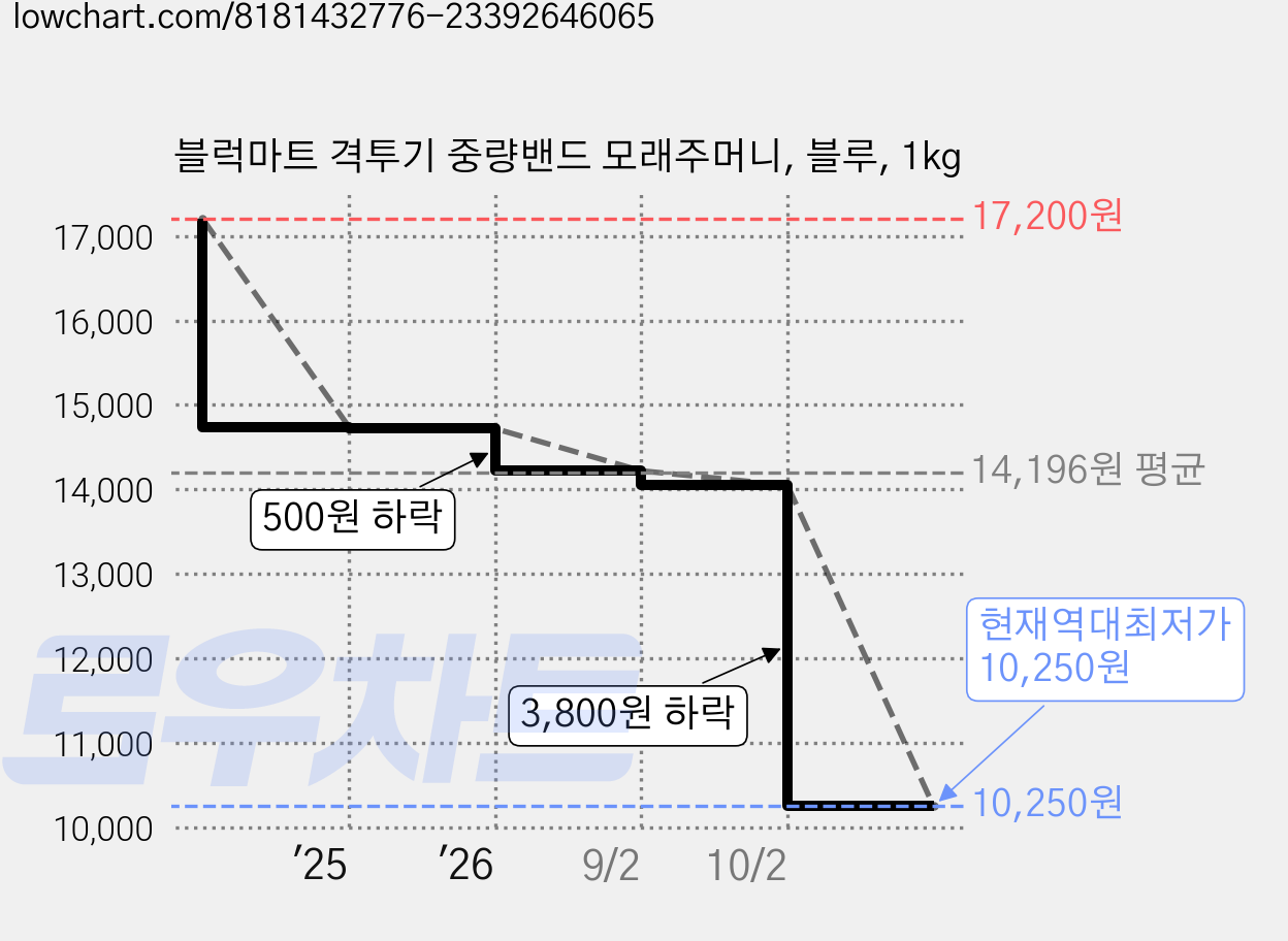 블럭마트 격투기 중량밴드 모래주머니, 블루, 1kg 가격 변동 차트, 현재가 10,250원, 역대최저가