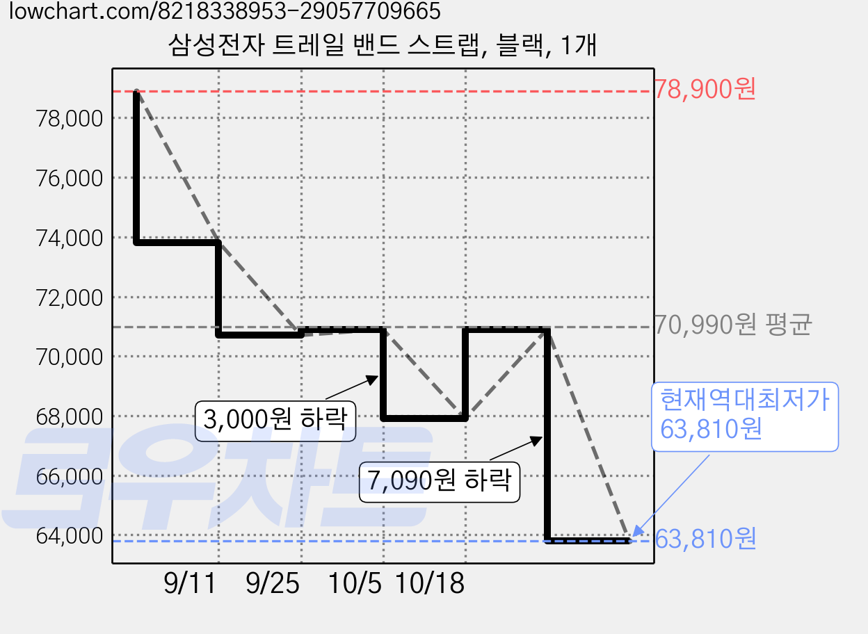 삼성전자 트레일 밴드 스트랩, 블랙, 1개 가격 변동 차트, 현재가 63,810원, 역대최저가