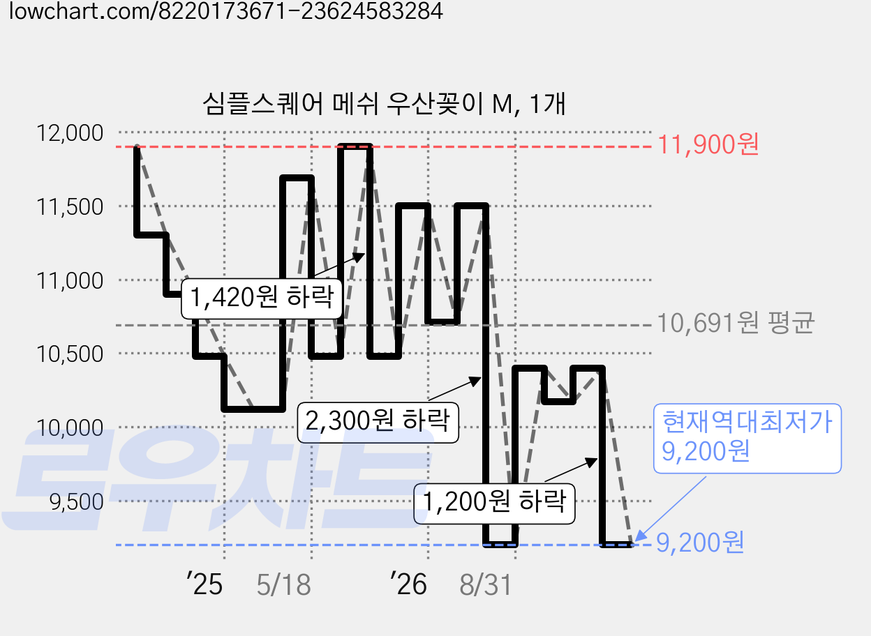 심플스퀘어 메쉬 우산꽂이 M, 1개 가격 변동 차트, 현재가 9,200원, 역대최저가