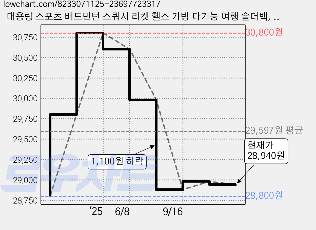 대용량 스포츠 배드민턴 스쿼시 라켓 헬스 가방 다기능 여행 숄더백, 그레이, 1개 가격 변동 차트, 현재가 28,940원, 관측 최저가 28,800원