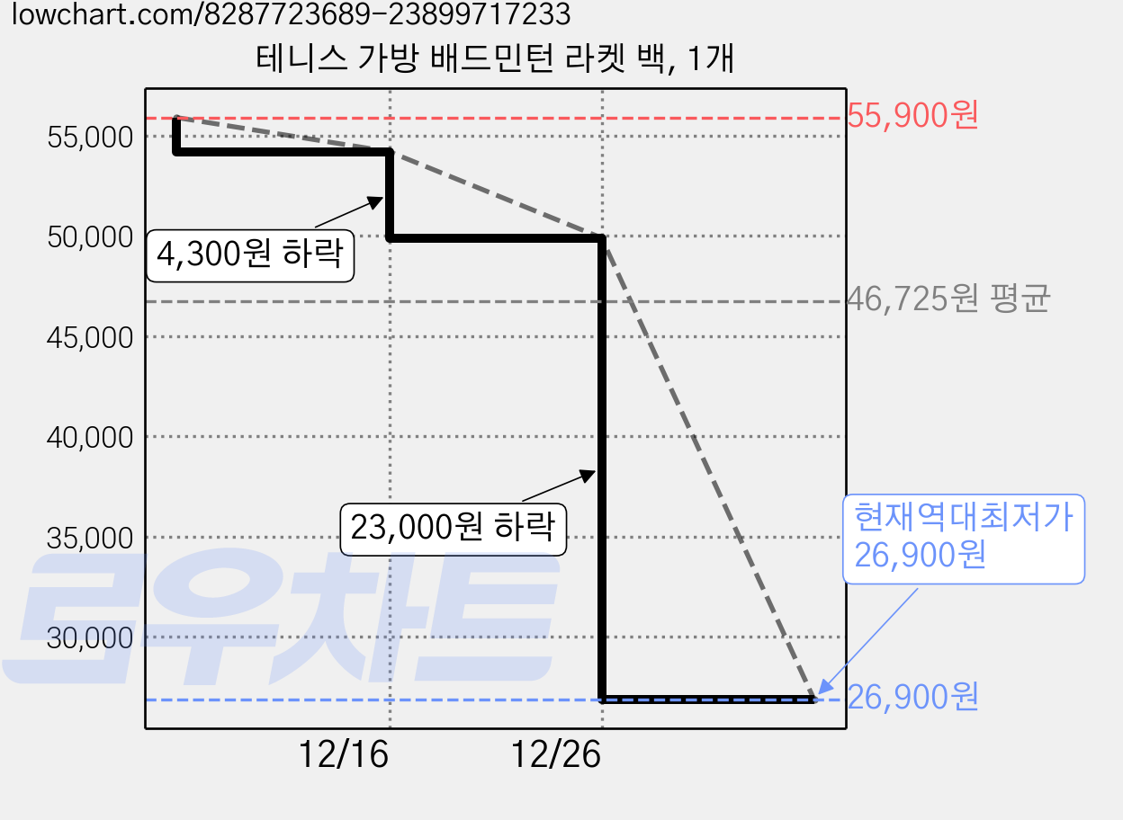테니스 가방 배드민턴 라켓 백, 1개 가격 변동 차트, 현재가 26,900원, 역대최저가