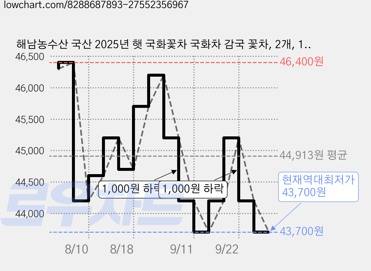 해남농수산 국산 2025년 햇 국화꽃차 국화차 감국 꽃차, 2개, 1개입 가격 변동 차트, 현재가 43,700원, 역대최저가