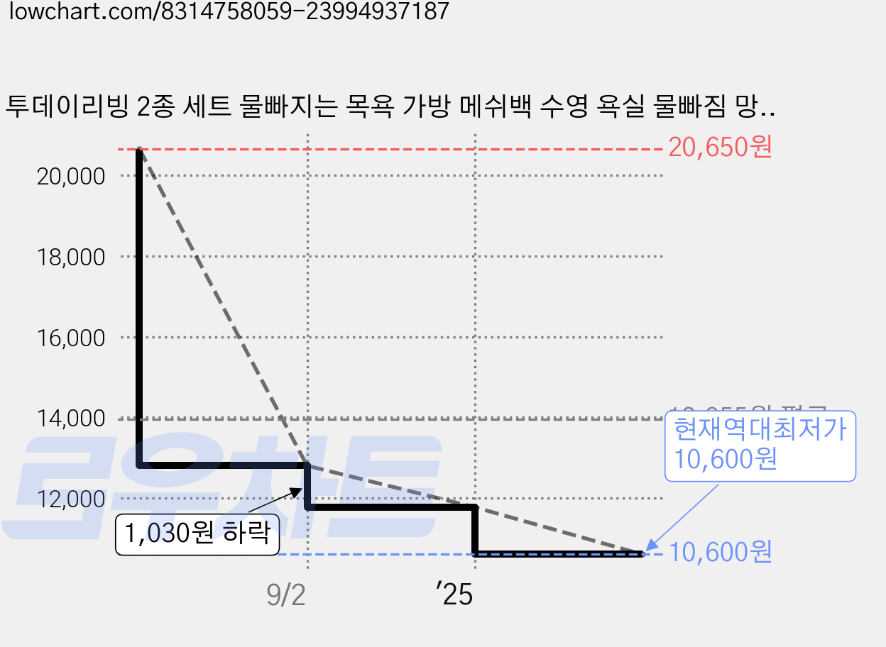 투데이리빙 2종 세트 물빠지는 목욕 가방 메쉬백 수영 욕실 물빠짐 망사 메쉬 바구니 목욕백 세면백 비치백 매쉬백, R98175B, 블랙, 2개 가격 변동 차트, 현재가 10,600원, 역대최저가