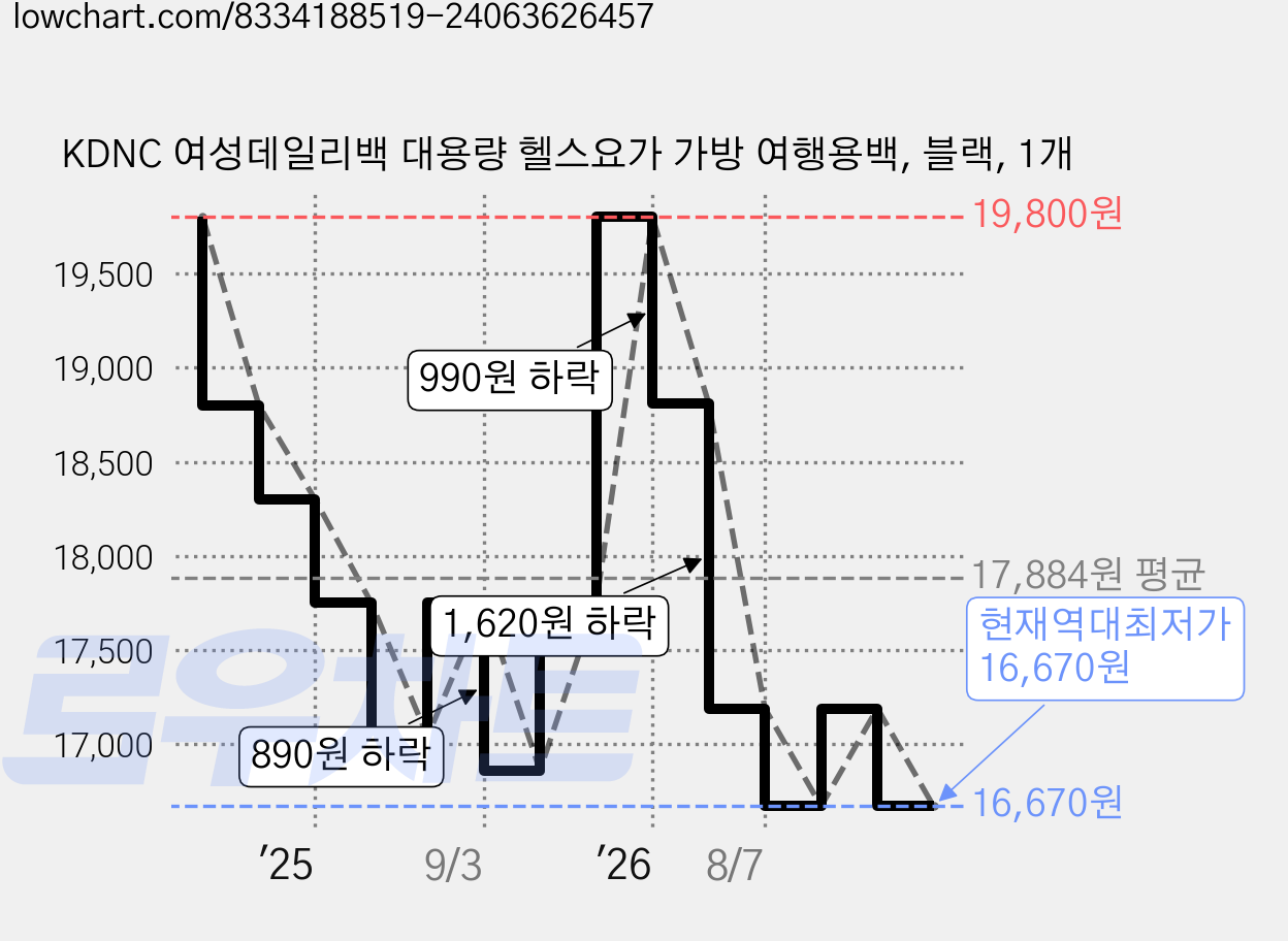KDNC 여성데일리백 대용량 헬스요가 가방 여행용백, 블랙, 1개 가격 변동 차트, 현재가 16,670원, 역대최저가