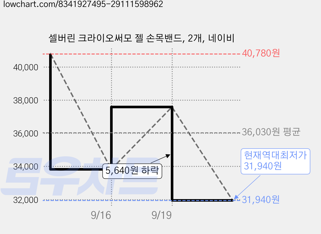 셀버린 크라이오써모 젤 손목밴드, 2개, 네이비 가격 변동 차트, 현재가 31,940원, 역대최저가