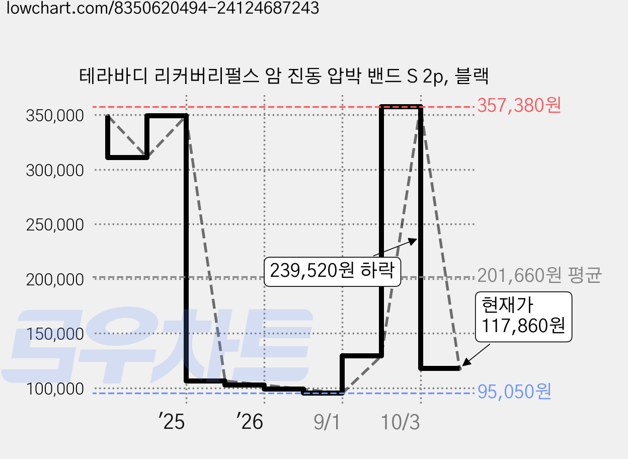 테라바디 리커버리펄스 암 진동 압박 밴드 S 2p, 블랙 가격 변동 차트, 현재가 117,860원, 관측 최저가 95,050원