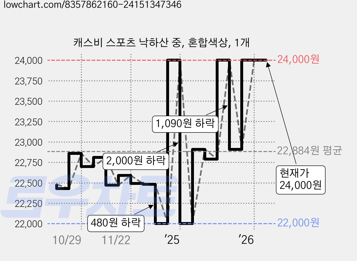 캐스비 스포츠 낙하산 중, 혼합색상, 1개 가격 변동 차트, 현재가 24,000원, 관측 최저가 21,930원