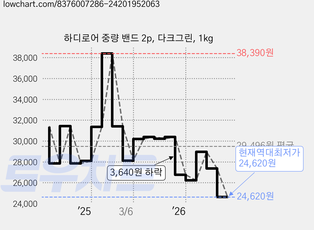 하디로어 중량 밴드 2p, 다크그린, 1kg 가격 변동 차트, 현재가 24,620원, 역대최저가