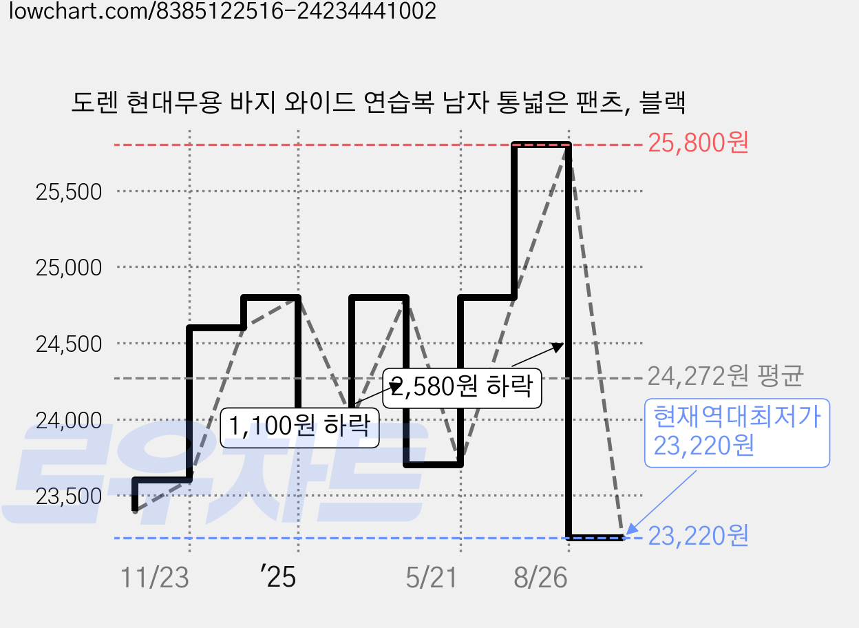 도렌 현대무용 바지 와이드 연습복 남자 통넓은 팬츠, 블랙 가격 변동 차트, 현재가 23,220원, 역대최저가