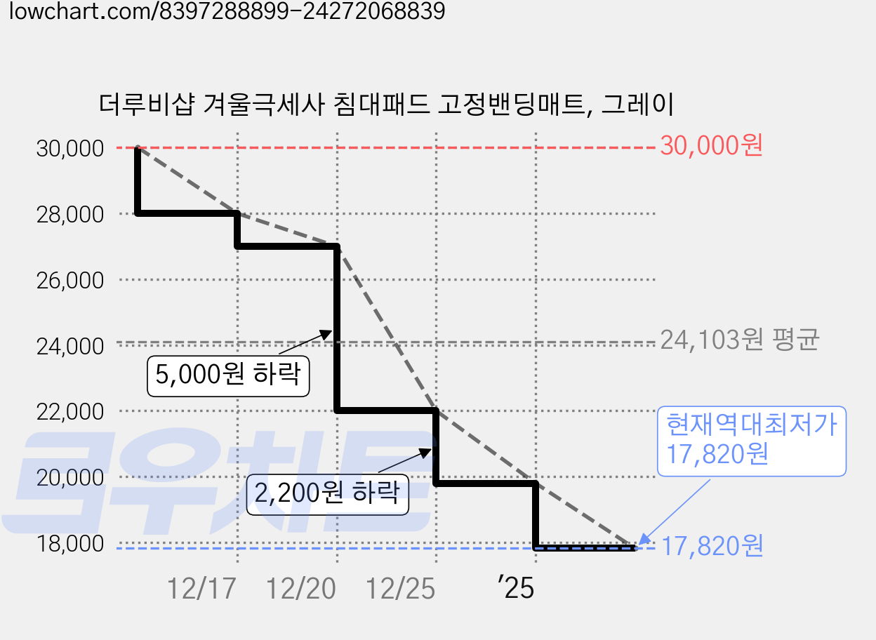 더루비샵 겨울극세사 침대패드 고정밴딩매트, 그레이 가격 변동 차트, 현재가 17,820원, 역대최저가