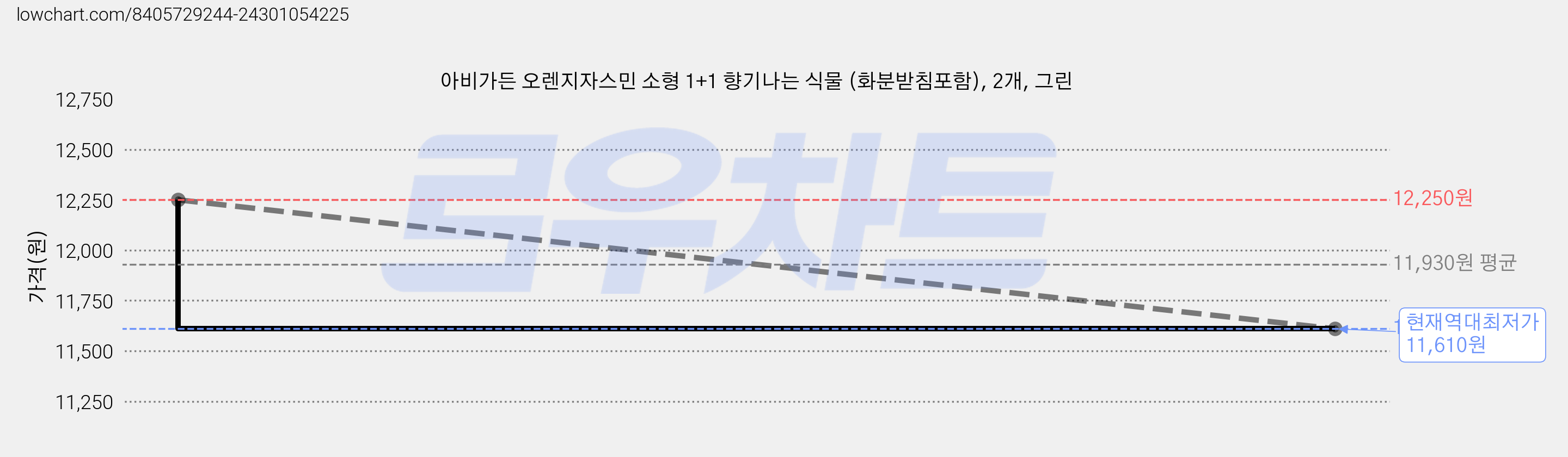 아비가든 오렌지자스민 소형 1+1 향기나는 식물 (화분받침포함), 2개, 그린 가격 변동 차트, 현재가 11,610원, 역대최저가