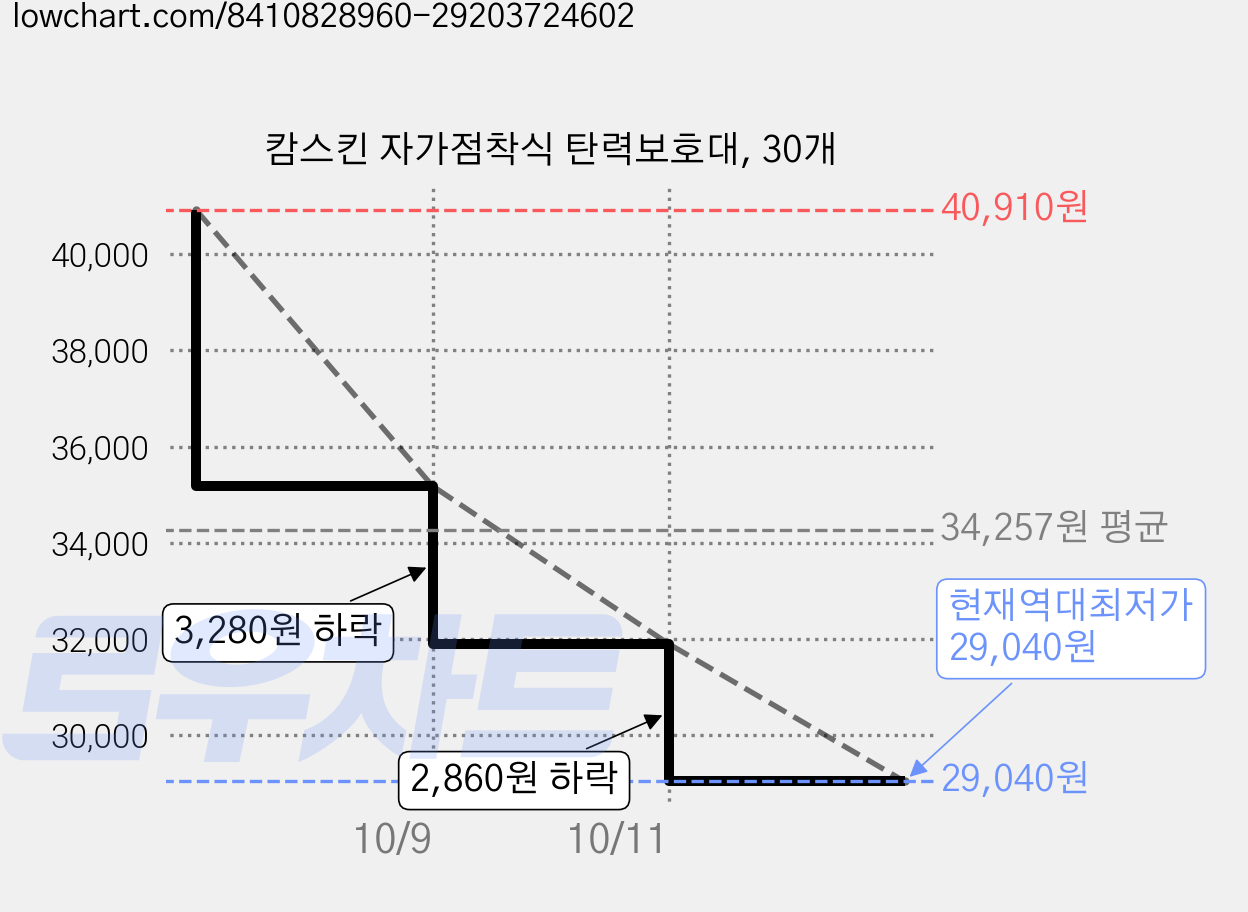 캄스킨 자가점착식 탄력보호대, 30개 가격 변동 차트, 현재가 29,040원, 역대최저가