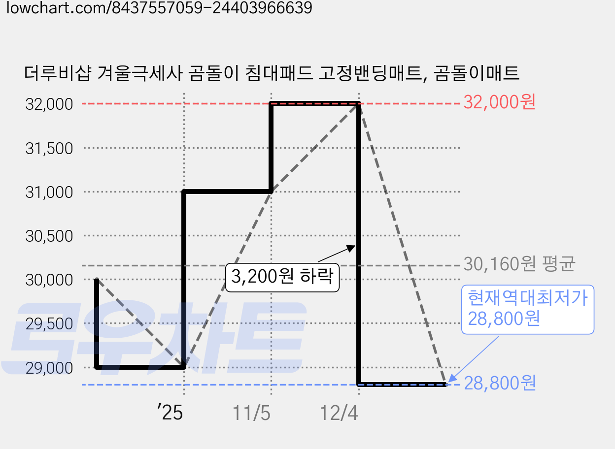 더루비샵 겨울극세사 곰돌이 침대패드 고정밴딩매트, 곰돌이매트 가격 변동 차트, 현재가 28,800원, 역대최저가