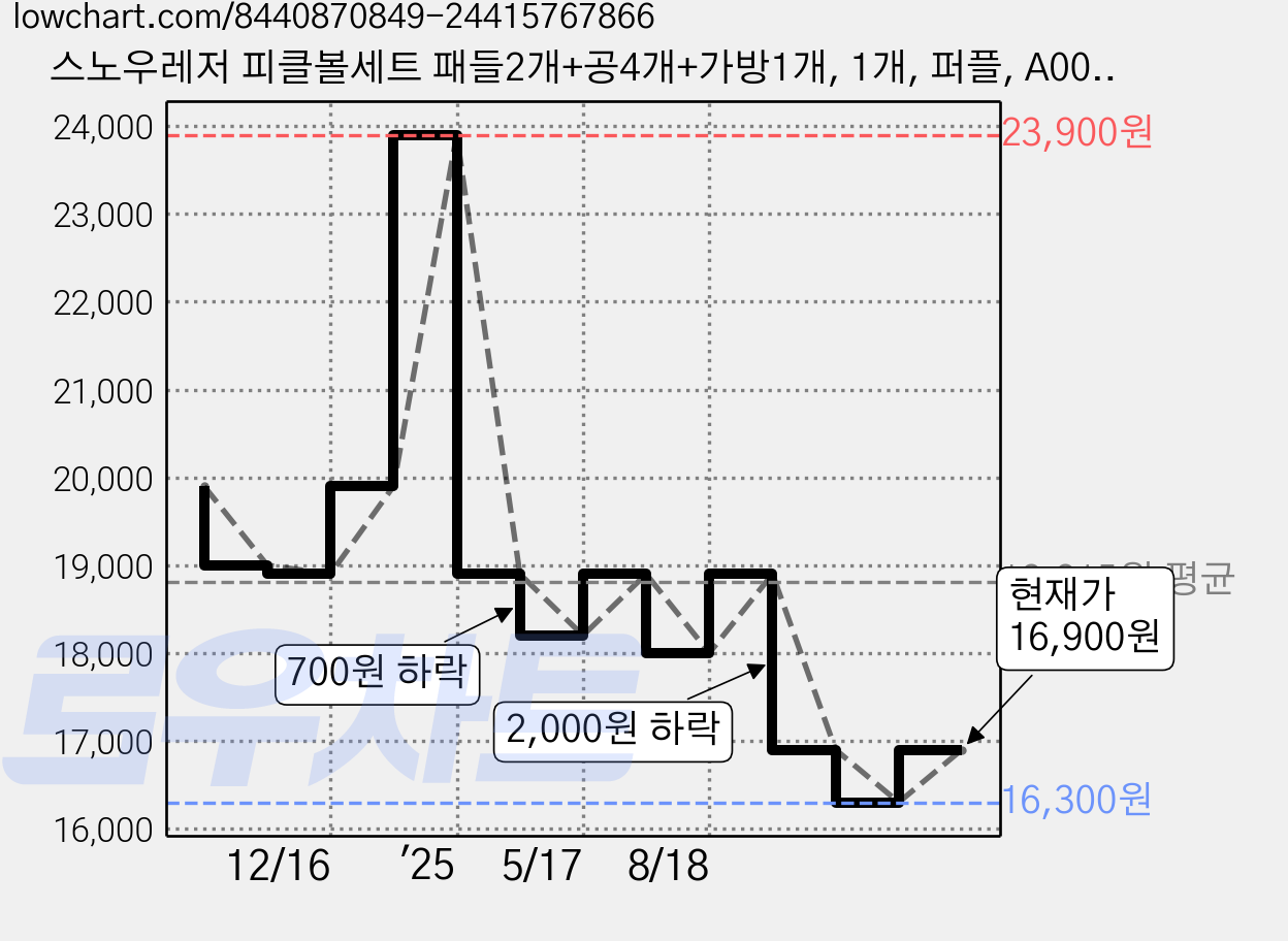 스노우레저 피클볼세트 패들2개+공4개+가방1개, 1개, 퍼플, A0028 가격 변동 차트, 현재가 16,900원, 관측 최저가 16,300원