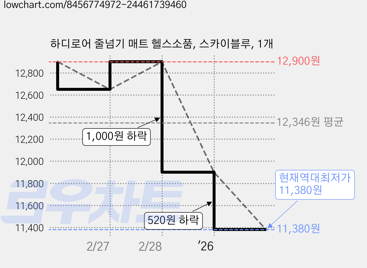 하디로어 줄넘기 매트 헬스소품, 스카이블루, 1개 가격 변동 차트, 현재가 11,380원, 역대최저가