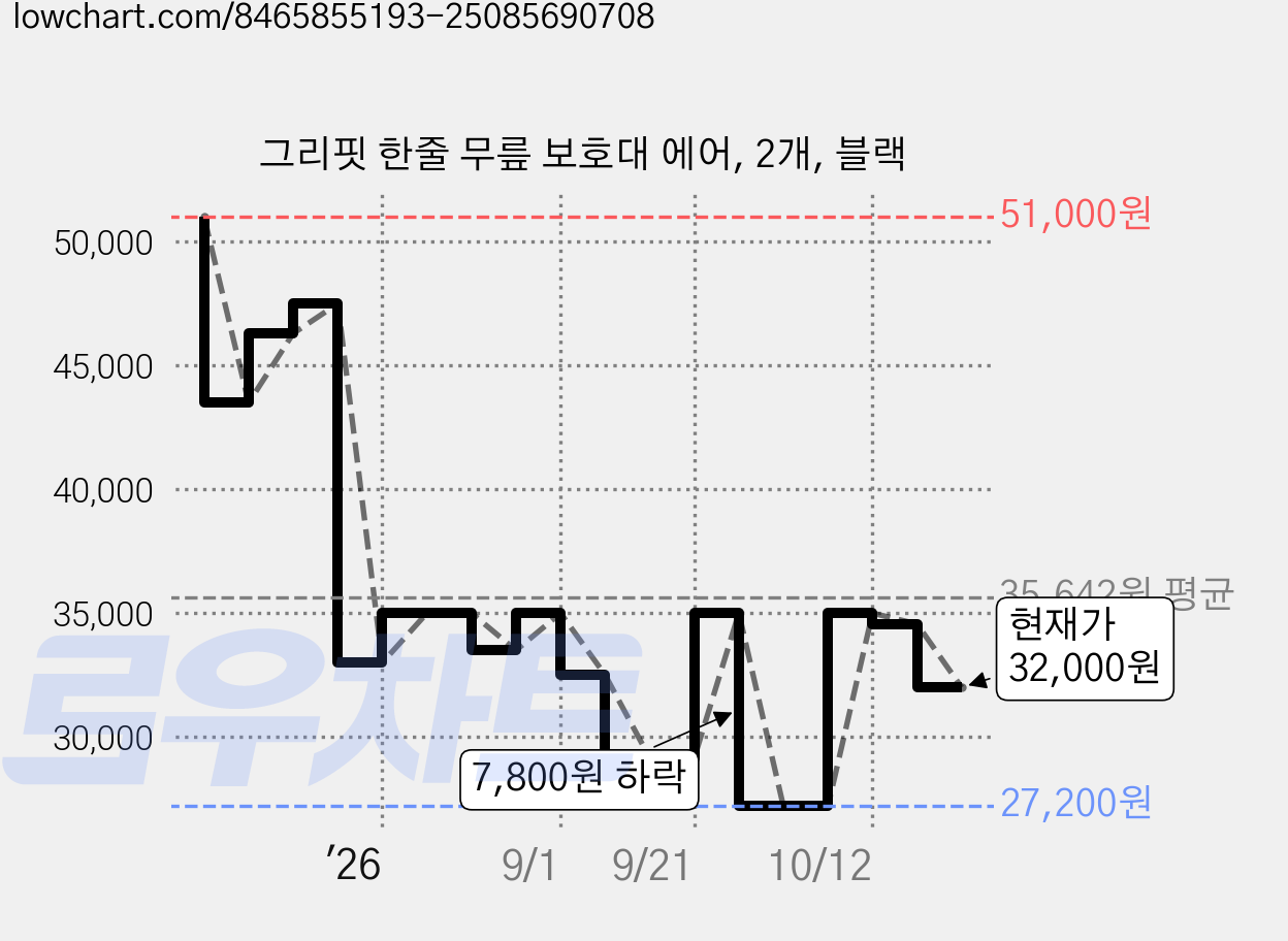 그리핏 한줄 무릎 보호대 에어, 2개, 블랙 가격 변동 차트, 현재가 32,000원, 관측 최저가 27,200원