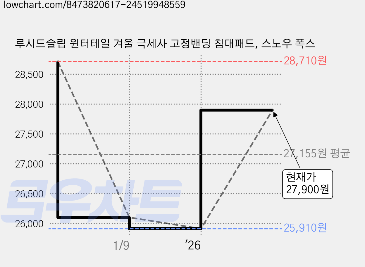 루시드슬립 윈터테일 겨울 극세사 고정밴딩 침대패드, 스노우 폭스 가격 변동 차트, 현재가 27,900원, 관측 최저가 25,910원