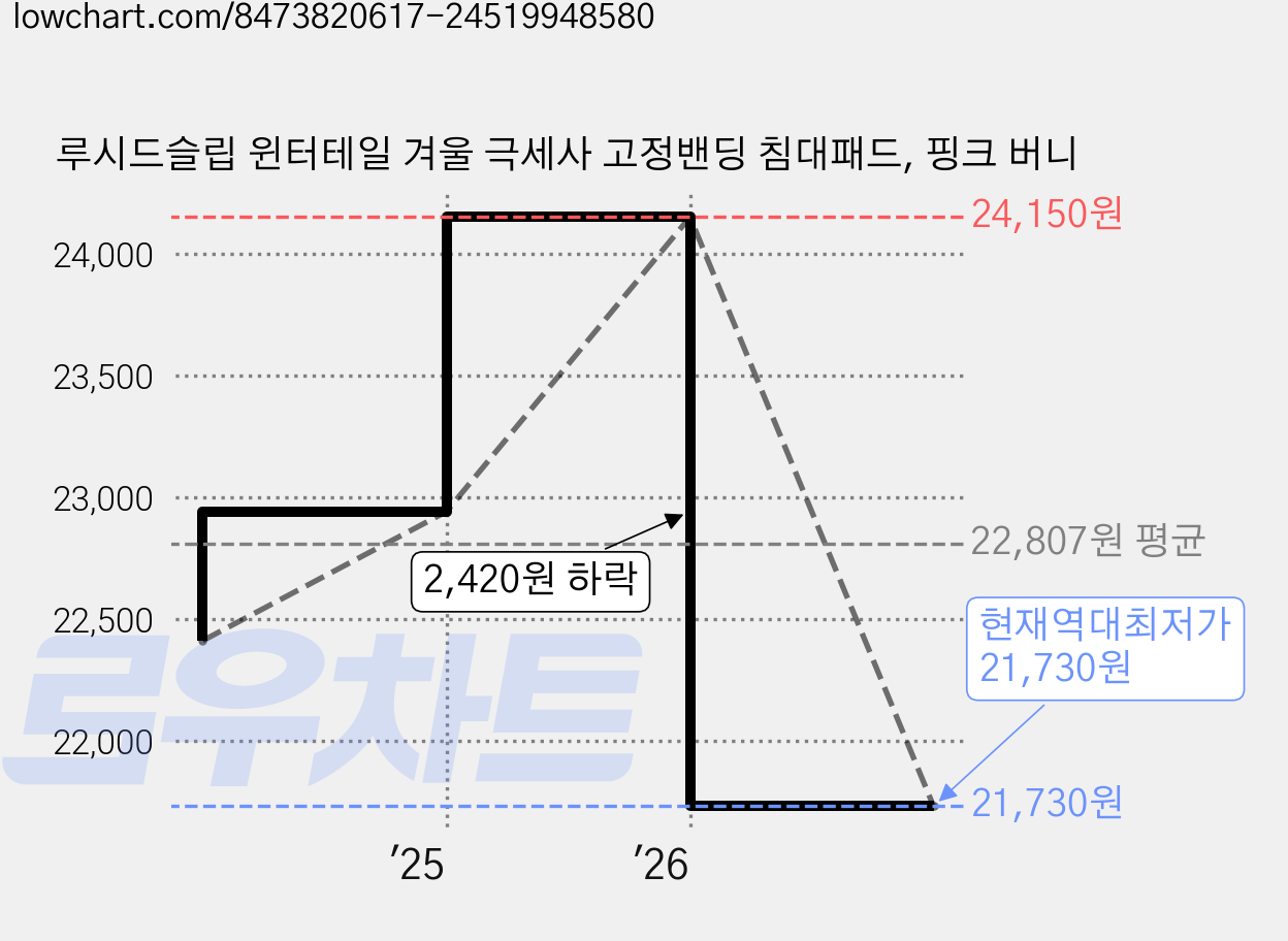 루시드슬립 윈터테일 겨울 극세사 고정밴딩 침대패드, 핑크 버니 가격 변동 차트, 현재가 21,730원, 역대최저가