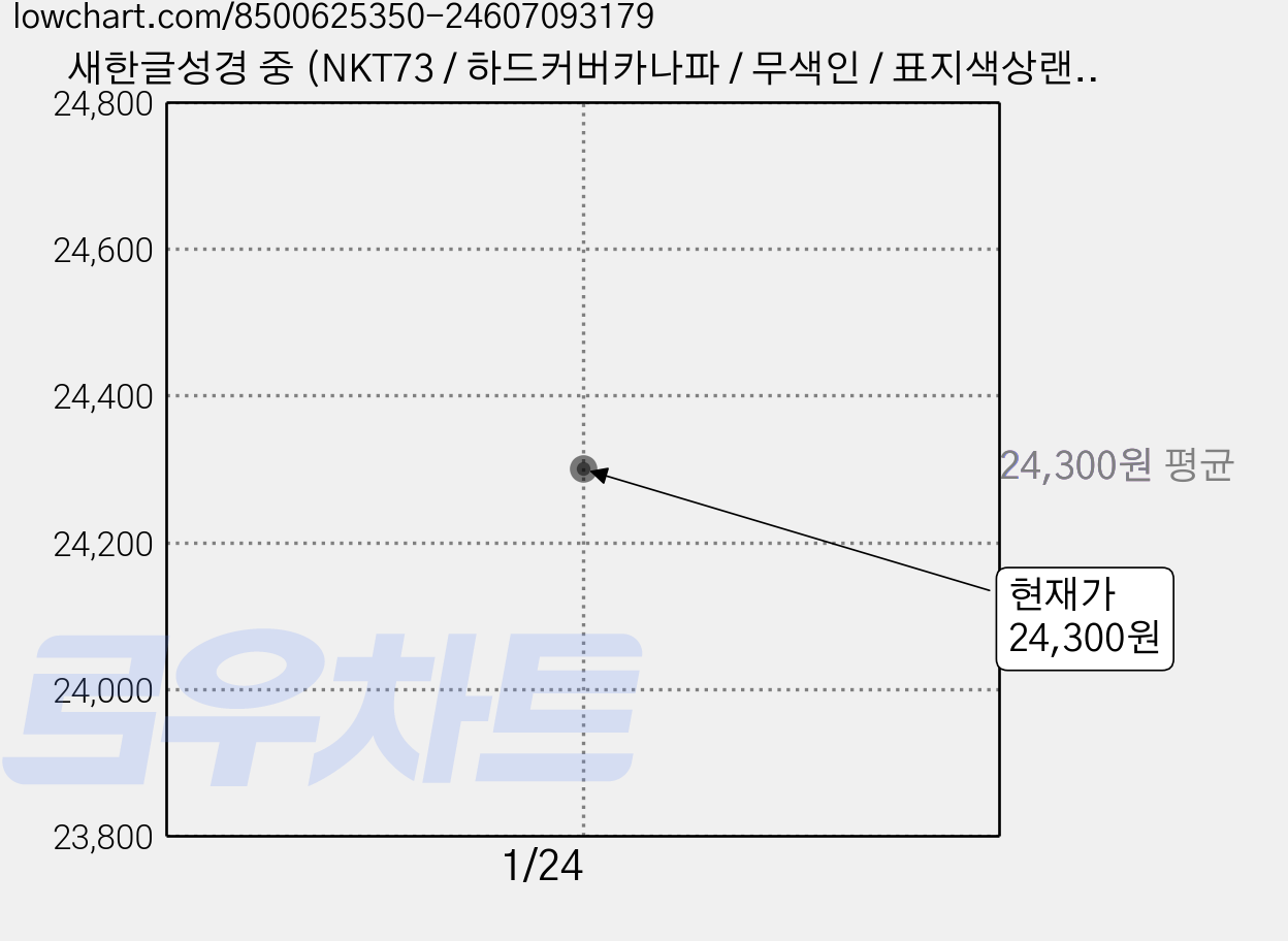 새한글성경 중 (NKT73 / 하드커버카나파 / 무색인 / 표지색상랜덤발송 / 단본), 대한성서공회, 대한성서공회 가격 변동 차트, 현재가 24,300원