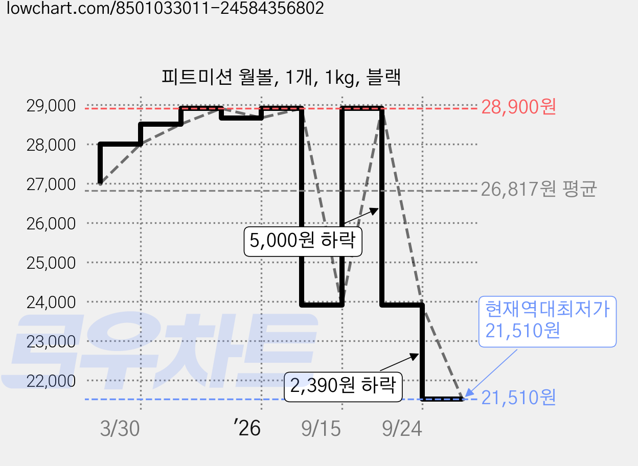 피트미션 월볼, 1개, 1kg, 블랙 가격 변동 차트, 현재가 21,510원, 역대최저가