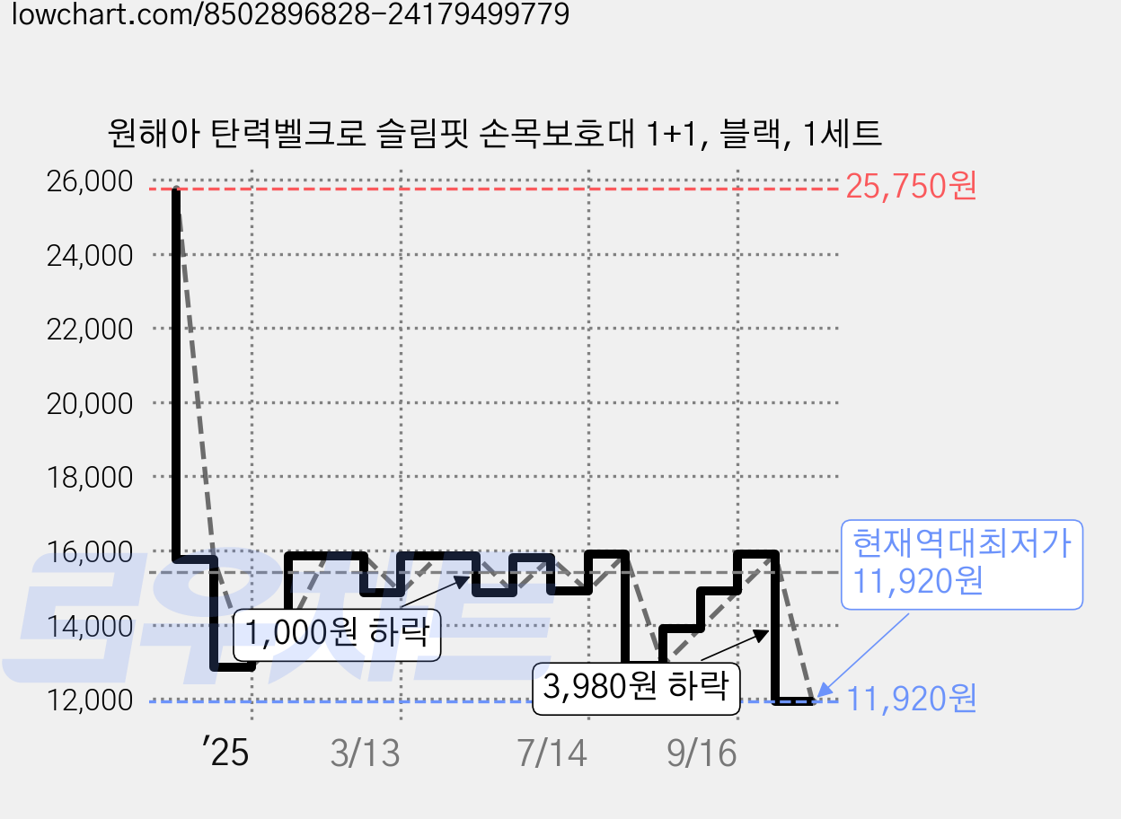 원해아 탄력벨크로 슬림핏 손목보호대 1+1, 블랙, 1세트 가격 변동 차트, 현재가 11,920원, 역대최저가