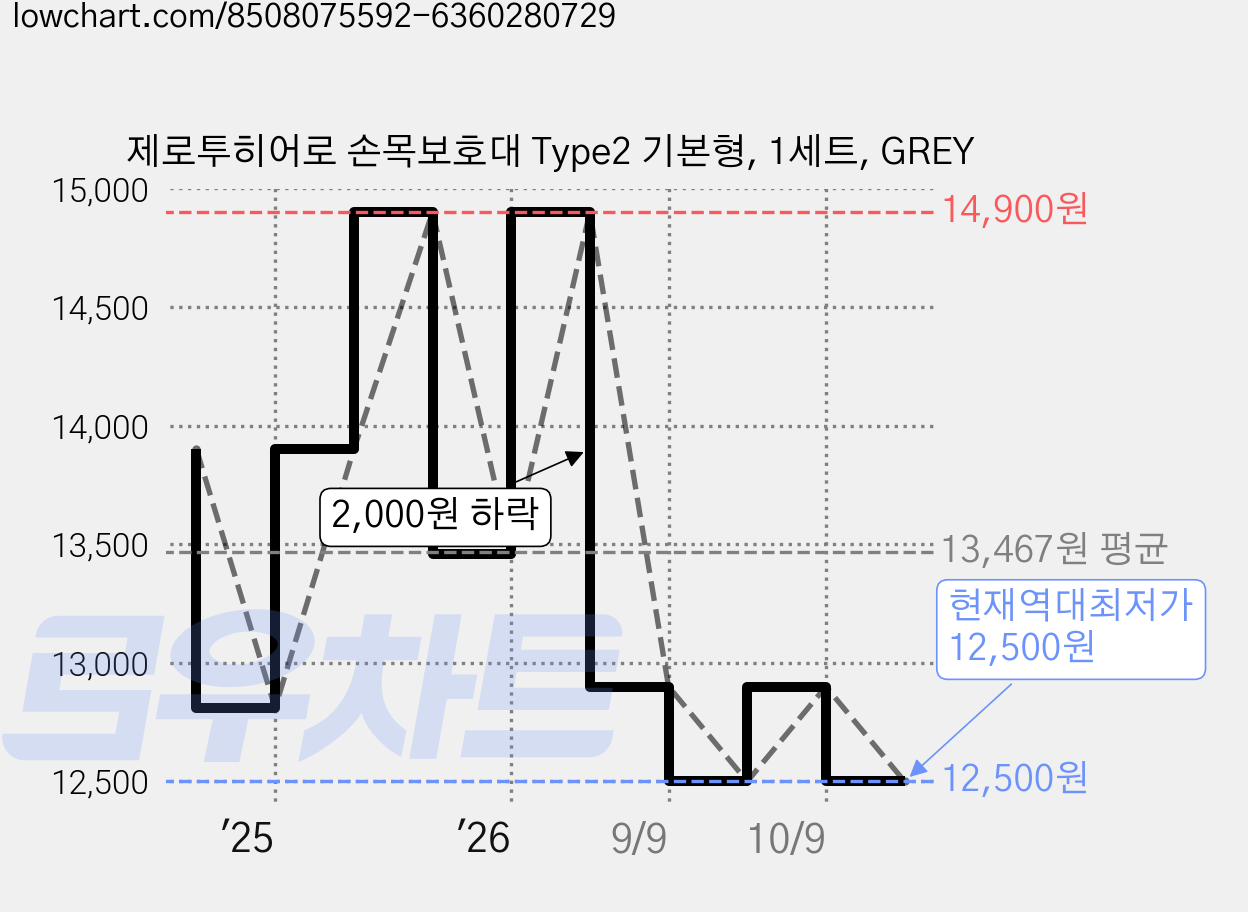 제로투히어로 손목보호대 Type2 기본형, 1세트, GREY 가격 변동 차트, 현재가 12,500원, 역대최저가
