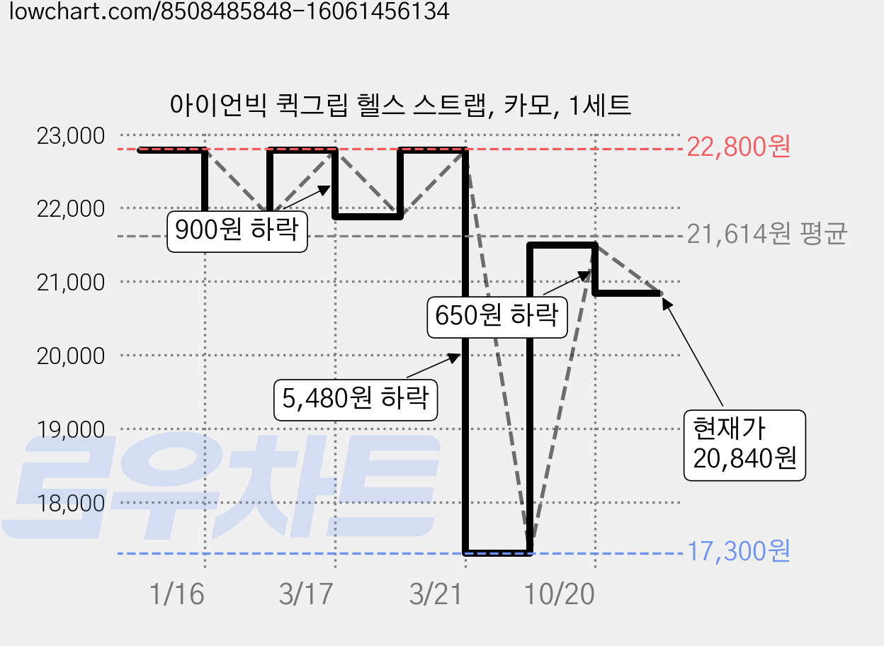 아이언빅 퀵그립 헬스 스트랩, 카모, 1세트 가격 변동 차트, 현재가 20,840원, 관측 최저가 17,300원