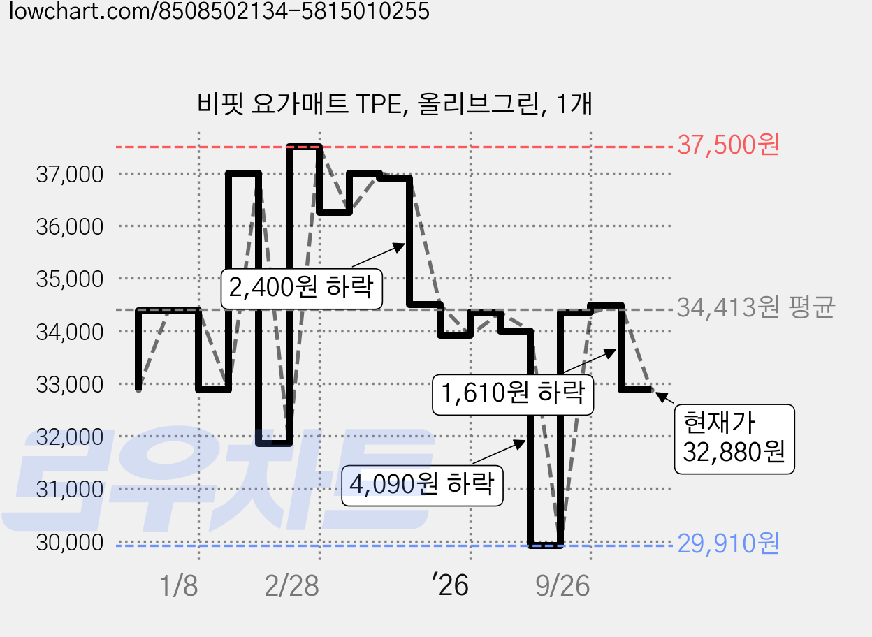 비핏 요가매트 TPE, 올리브그린, 1개 가격 변동 차트, 현재가 32,880원, 관측 최저가 29,910원