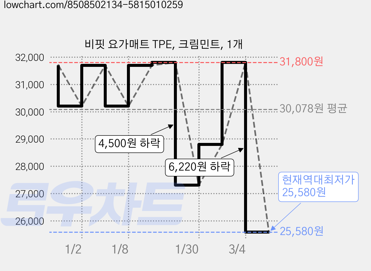 비핏 요가매트 TPE, 크림민트, 1개 가격 변동 차트, 현재가 25,580원, 역대최저가