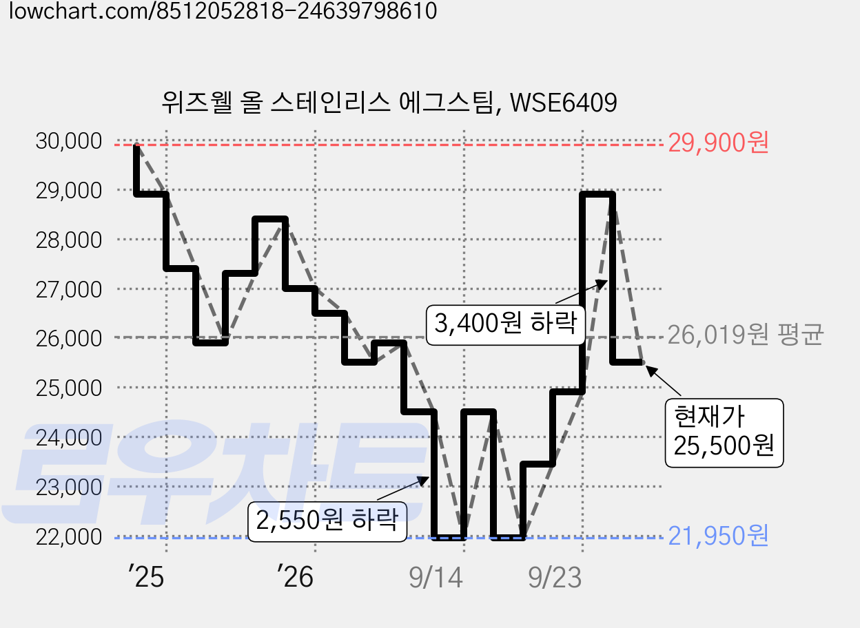 위즈웰 올 스테인리스 에그스팀, WSE6409 가격 변동 차트, 현재가 25,500원, 관측 최저가 21,950원