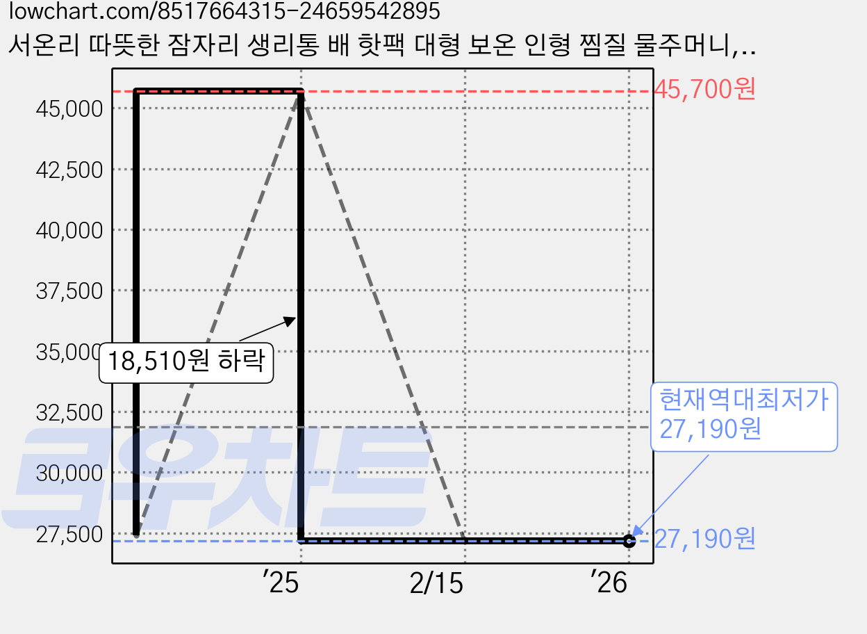 서온리 따뜻한 잠자리 생리통 배 핫팩 대형 보온 인형 찜질 물주머니, 1.5세트 가격 변동 차트, 현재가 27,190원, 역대최저가