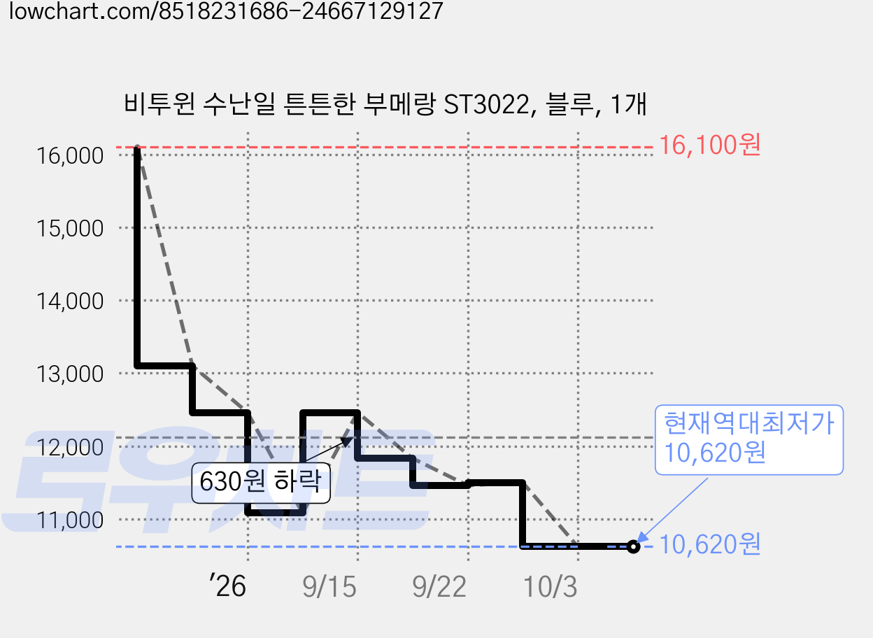 비투윈 수난일 튼튼한 부메랑 ST3022, 블루, 1개 가격 변동 차트, 현재가 10,620원, 역대최저가