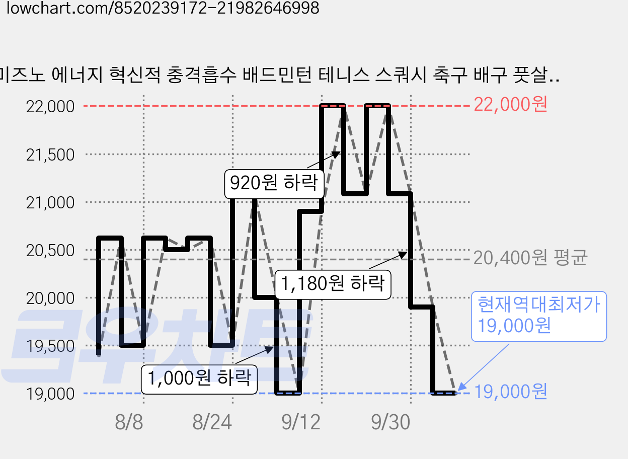 미즈노 에너지 혁신적 충격흡수 배드민턴 테니스 스쿼시 축구 배구 풋살 러닝 헬스 논슬립 깔창 양발착용 세트, 1세트 가격 변동 차트, 현재가 19,000원, 역대최저가