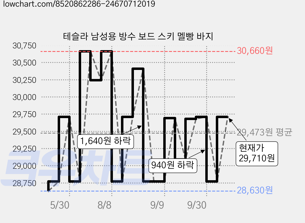 테슬라 남성용 방수 보드 스키 멜빵 바지 가격 변동 차트, 현재가 29,710원, 관측 최저가 28,150원