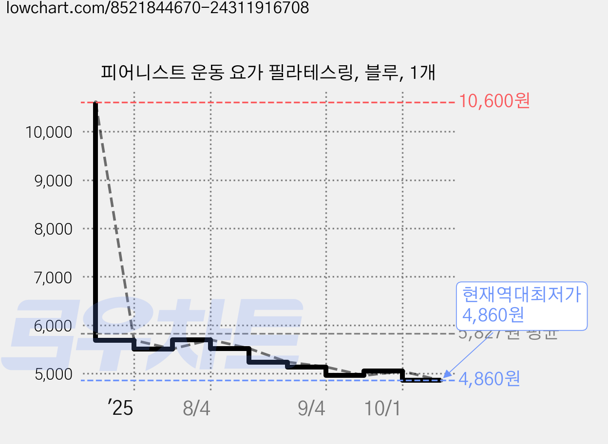 피어니스트 운동 요가 필라테스링, 블루, 1개 가격 변동 차트, 현재가 4,860원, 역대최저가
