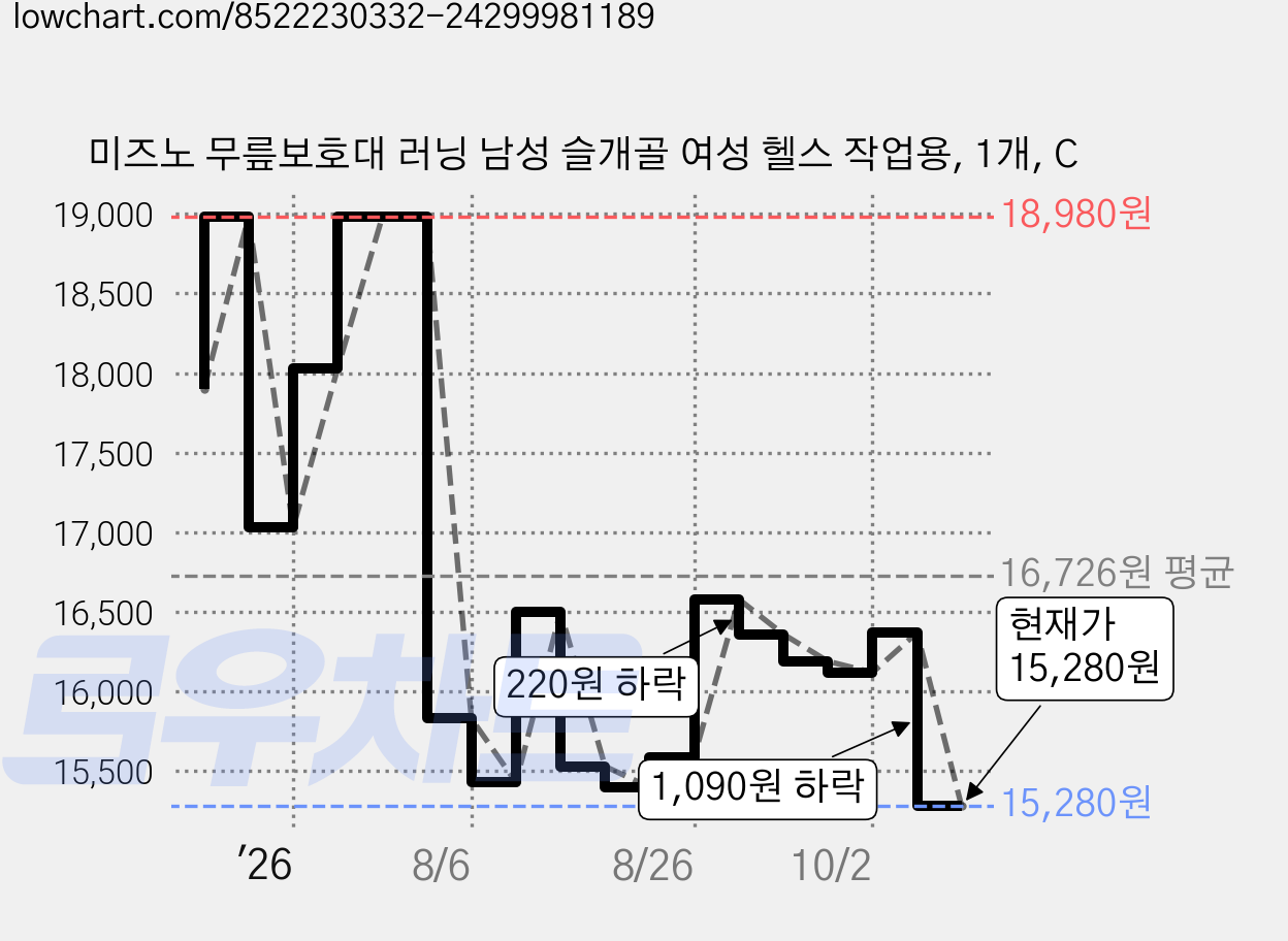 미즈노 무릎보호대 러닝 남성 슬개골 여성 헬스 작업용, 1개, C 가격 변동 차트, 현재가 15,280원, 관측 최저가 15,100원